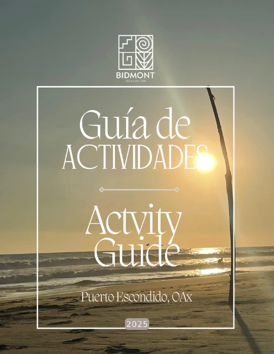 actividades playa hotel villa puerto escondido