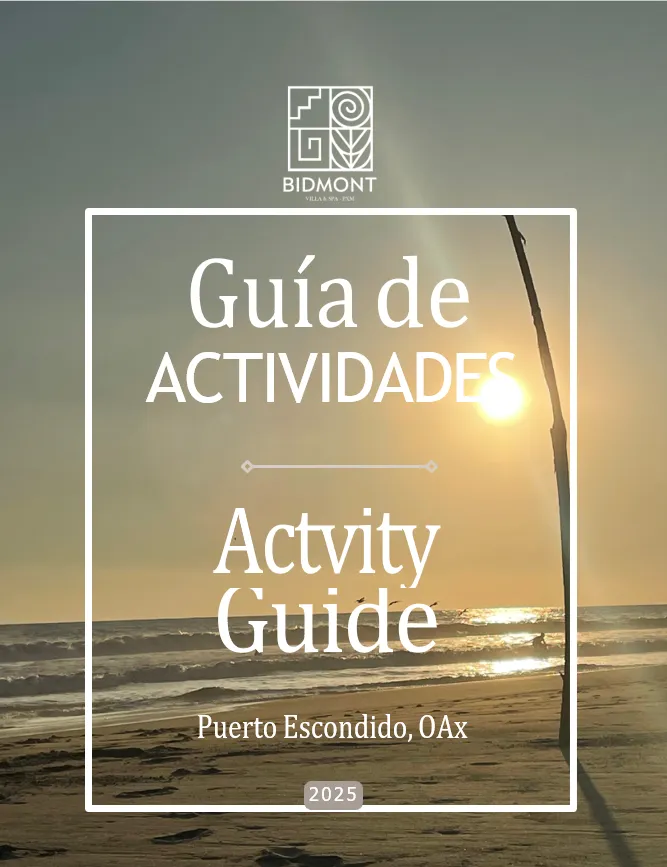 nuevo-guia-actividades